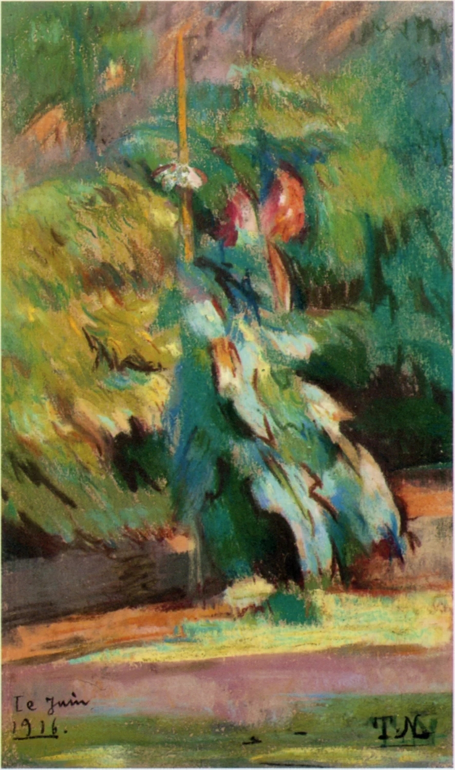 Un angolo del giardino